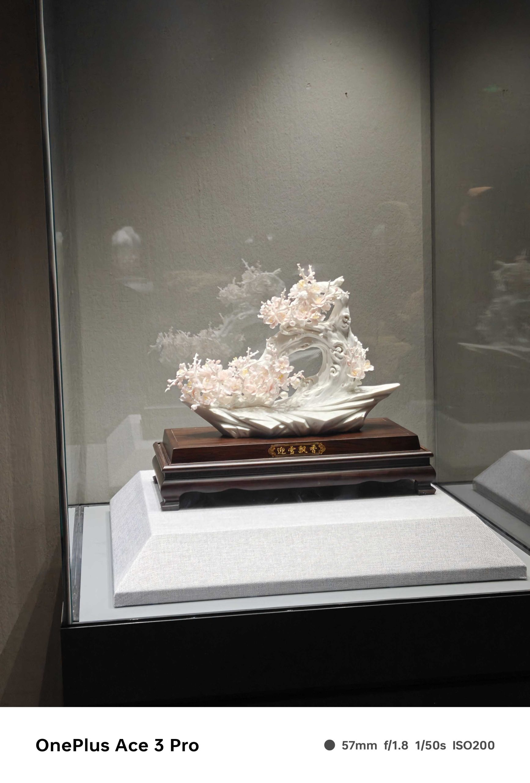 IMG20240801140112_compress