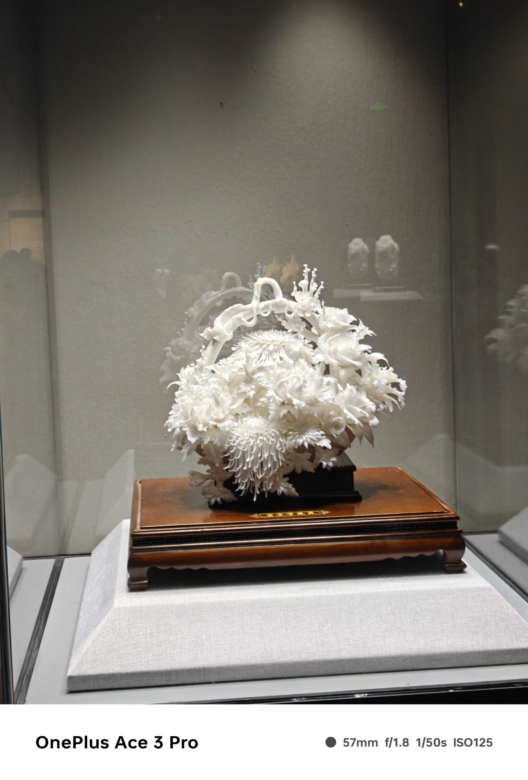 IMG20240801140045_compress