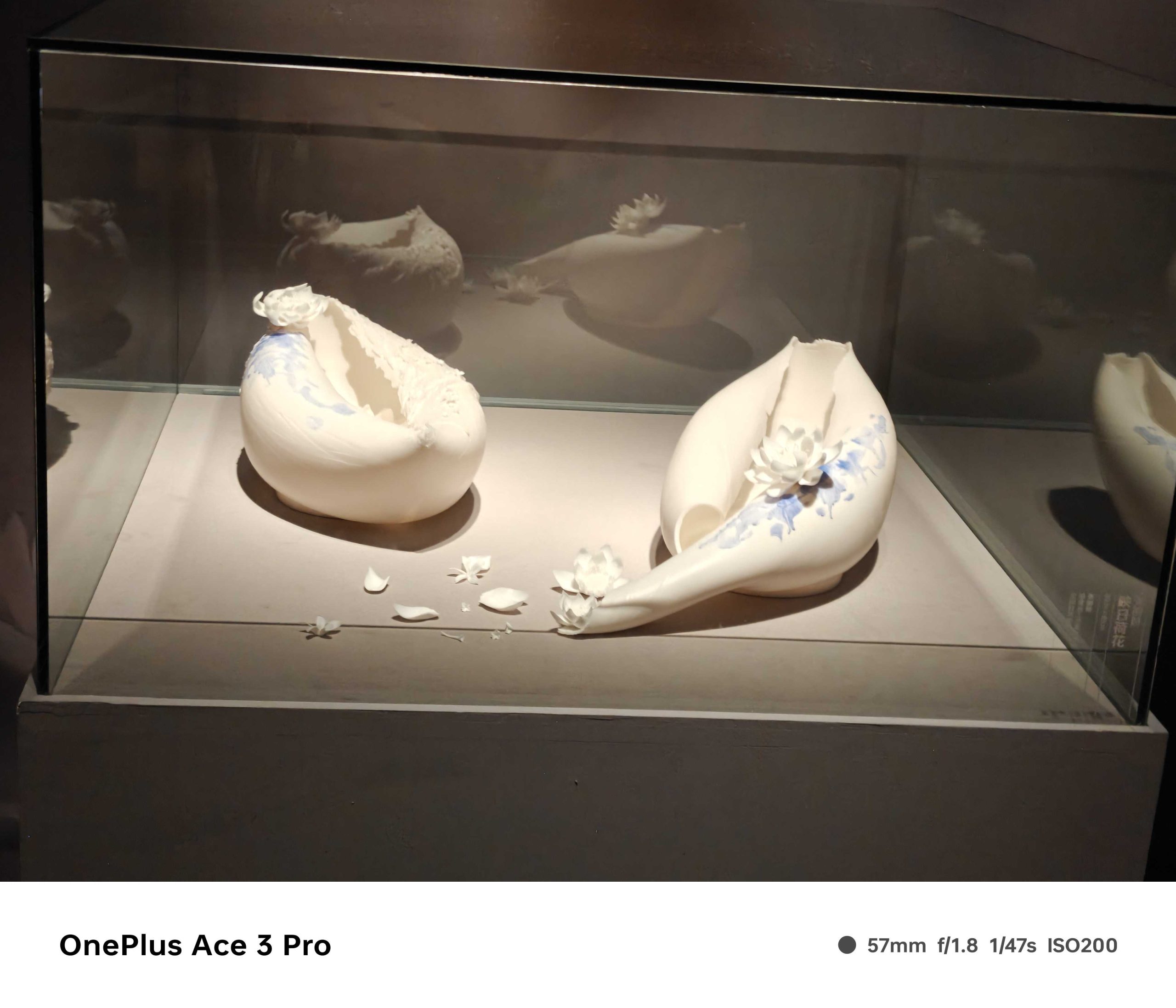 IMG20240801135916_compress