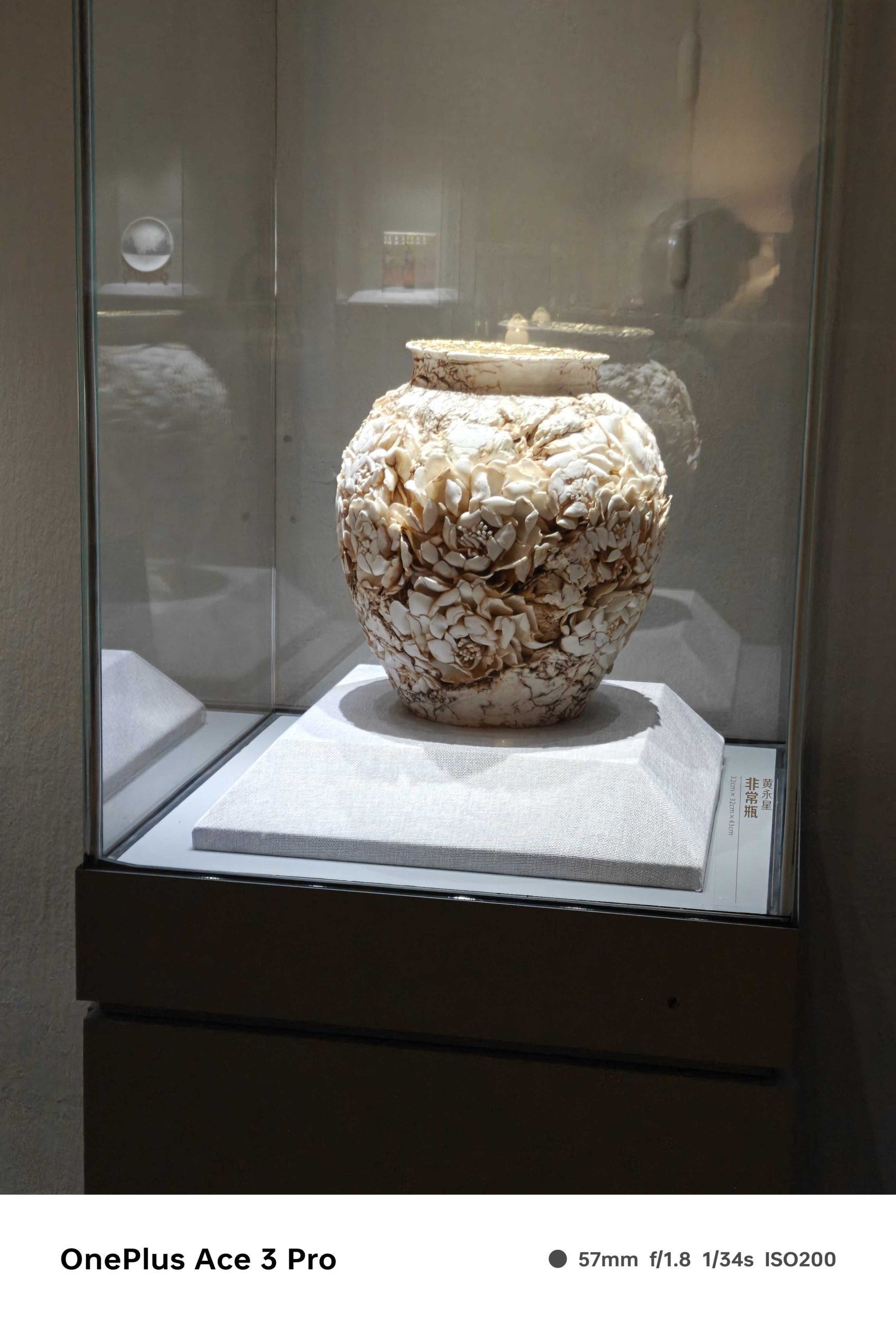 IMG20240801135909_compress