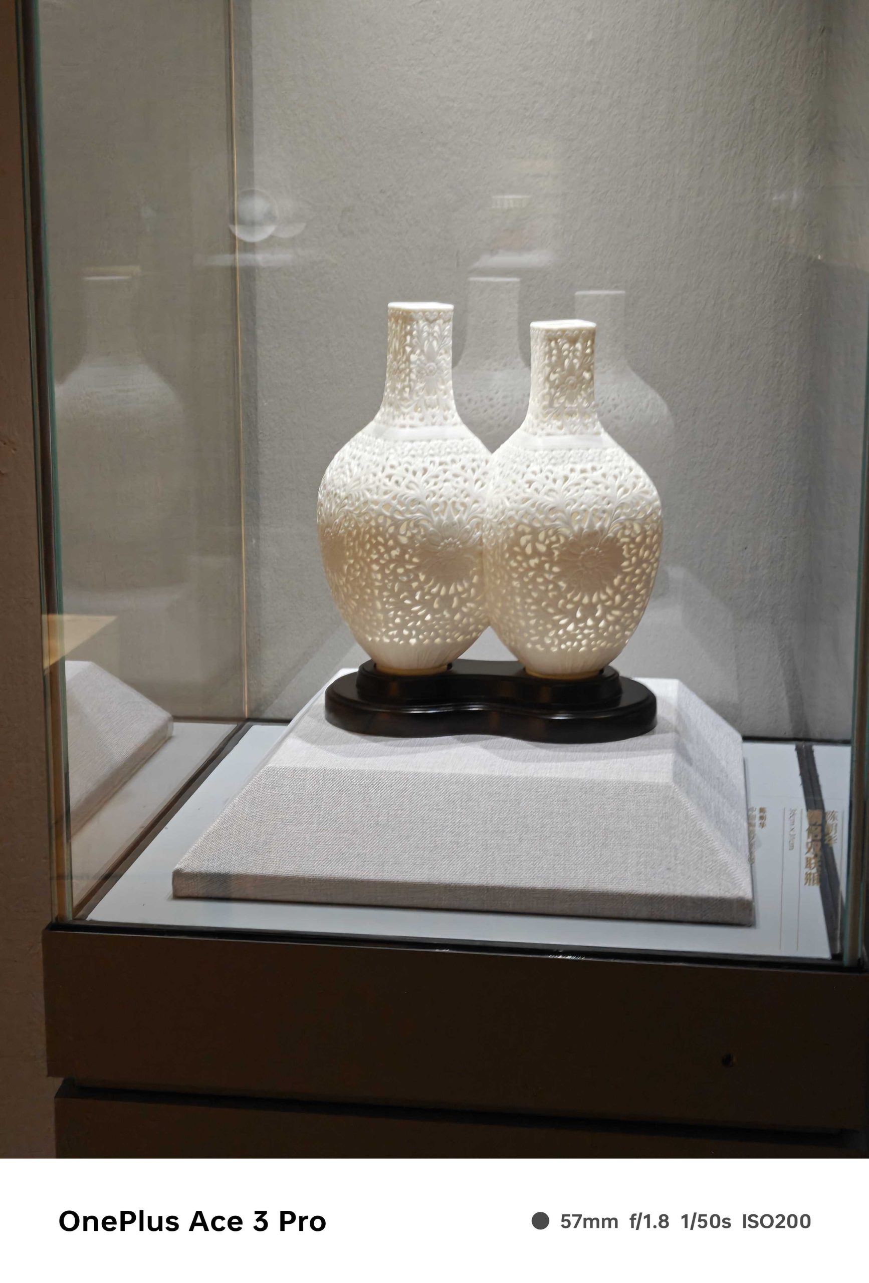 IMG20240801135900_compress