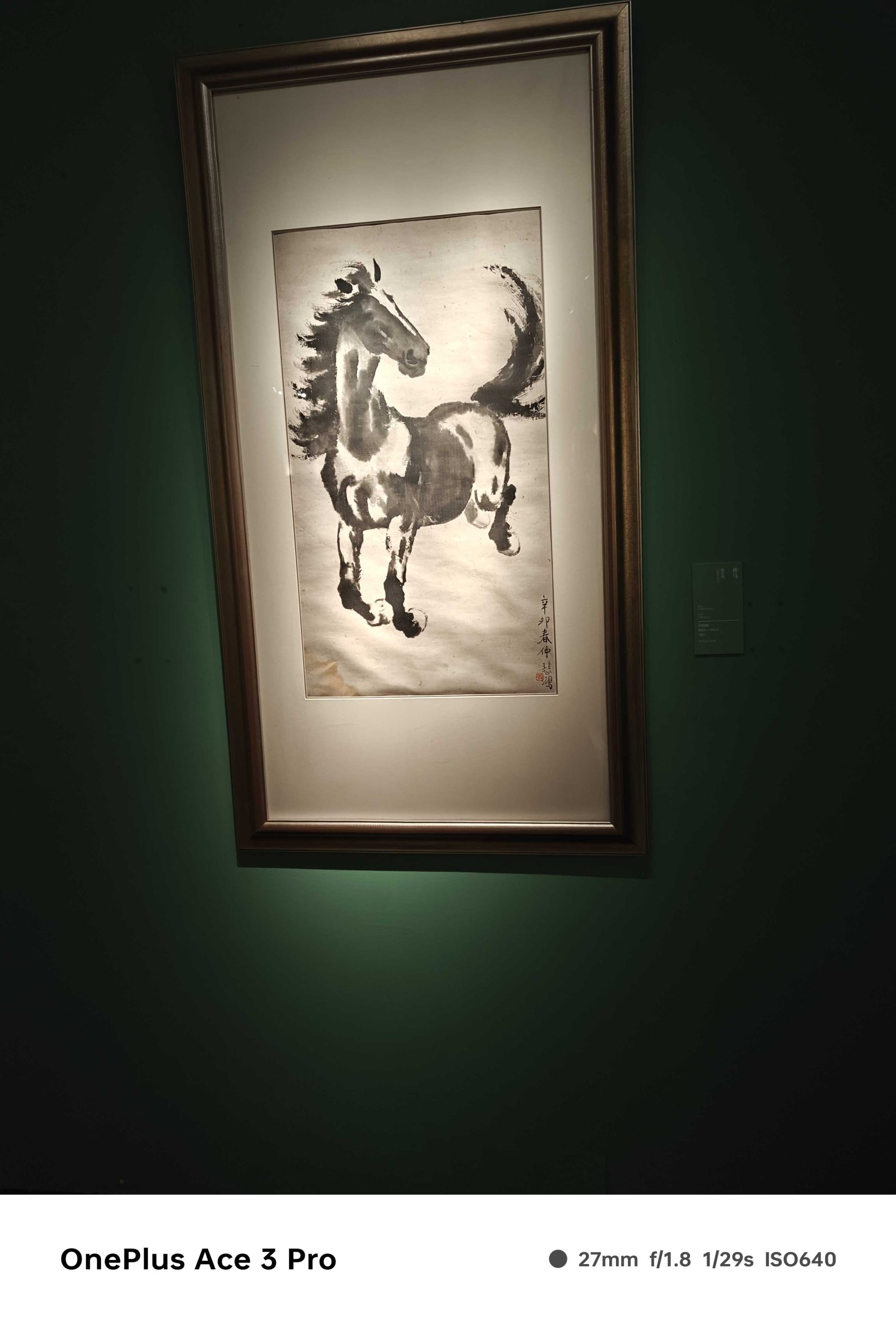 IMG20240801125900_compress