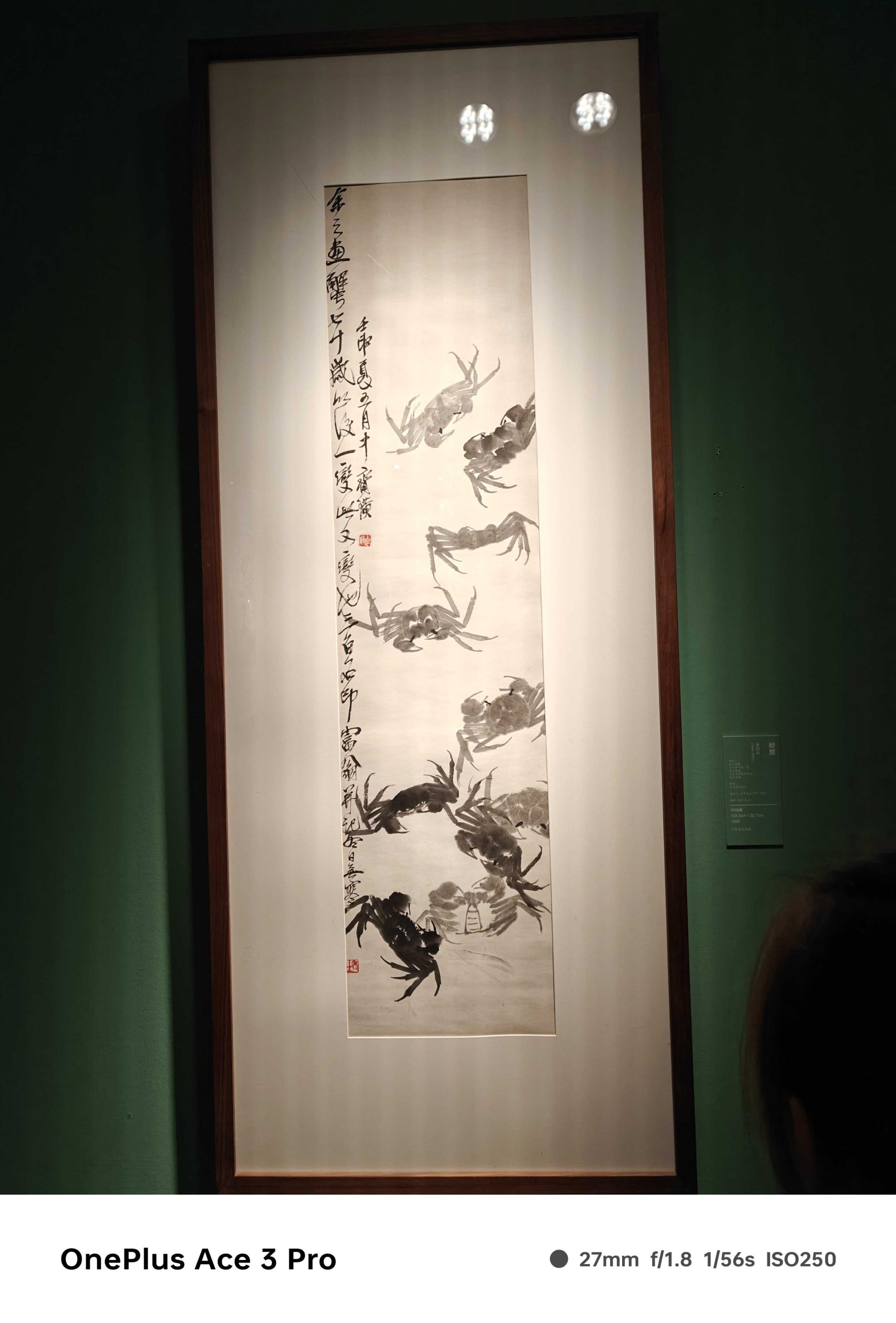 IMG20240801125806_compress